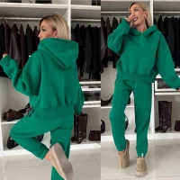 Warm and comfortable women's tracksuit with fleece and various colors 703-1 (65)